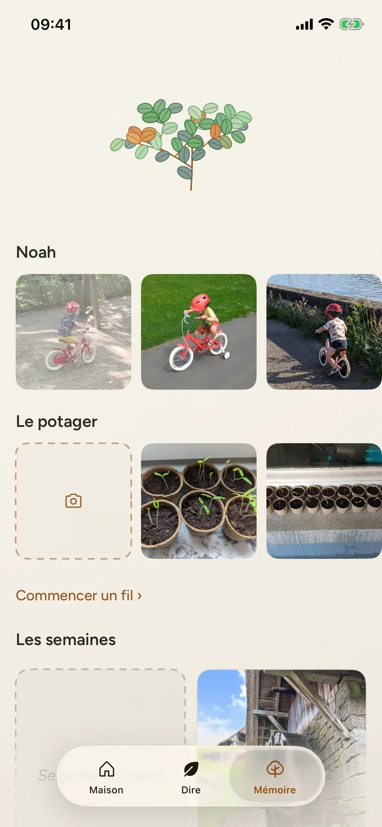 L'écran Mémoire de FamEase : l'arbre de la maison ; le fil de Noah, ouvert sur la photo choisie pour la semaine, plus pâle tant que la semaine n'est pas refermée : Noah sur le vélo rouge, sans les petites roues, sur un chemin dans un bois ; puis avec les petites roues, et sur sa draisienne au bord du canal ; le fil du potager, ouvert sur la case de la semaine où choisir sa photo, puis ses semis ; la place pour commencer un nouveau fil, puis les semaines : la case de la semaine en cours, et à côté la dernière refermée, avec la photo d'un moulin à eau.